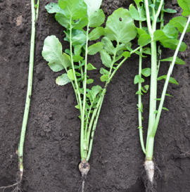 pboxx-pixelboxx-34062756