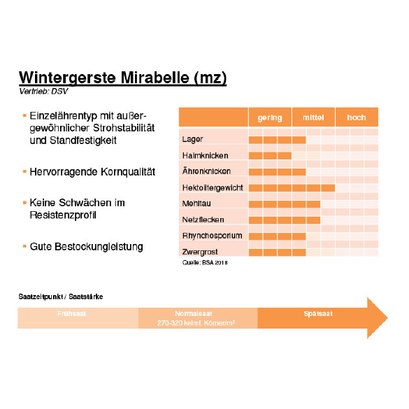 Sortenblatt Mirabelle