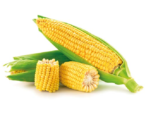 Lemirex Corngold
