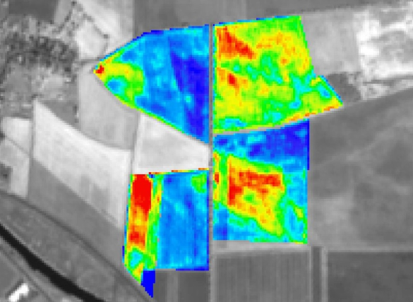 Abreife-Info von AGRAVIS NetFarming