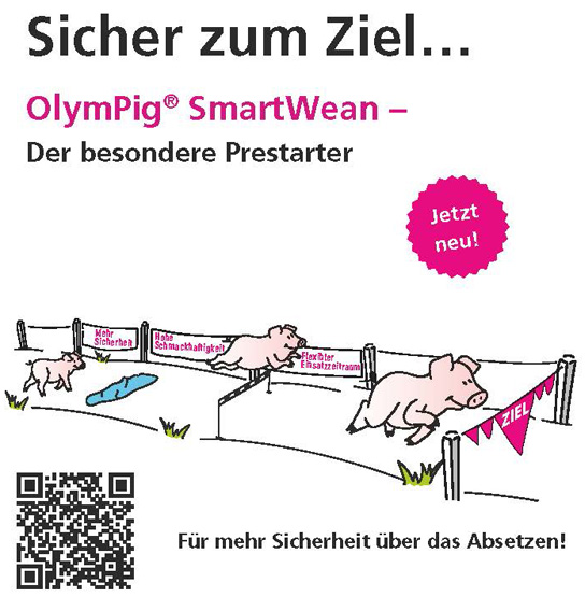 OlymPig