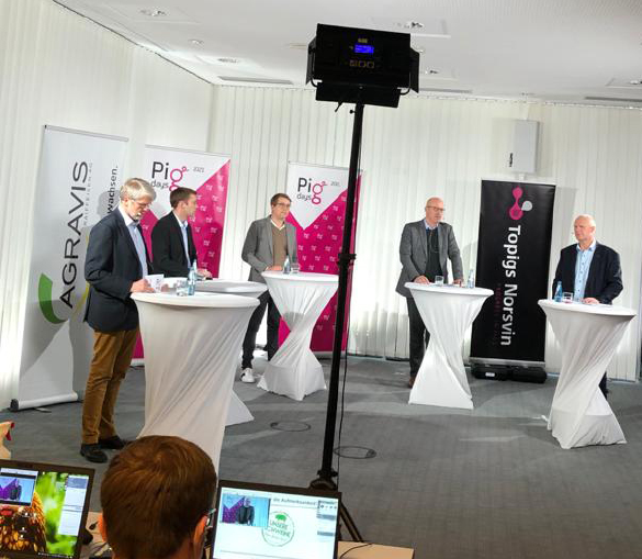 Pigdays der AGRAVIS mit Topigs Norsvin