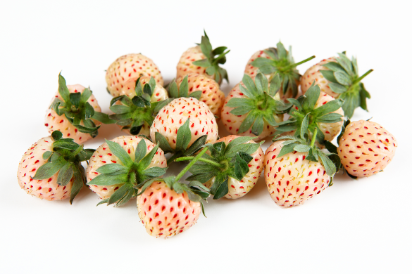 Weiße Erdbeeren
