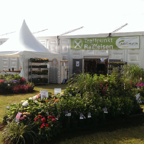 Tarmstedter Ausstellung