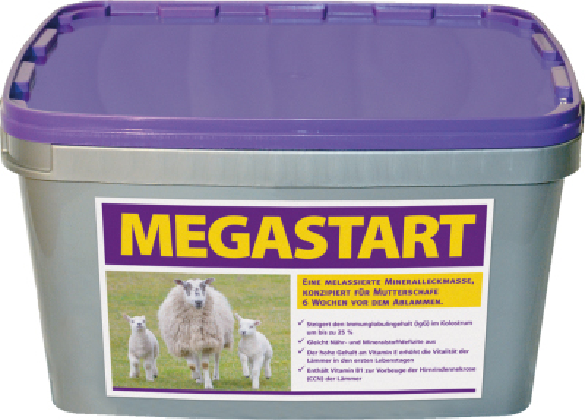 Megastart for sheep and goats – molasses-based mineral lick block to increase vitality in ewes and lambs