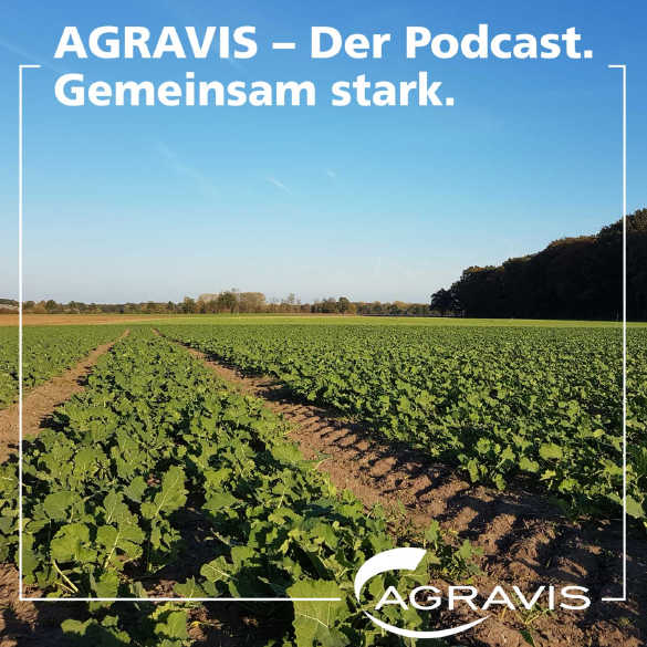 AGRAVIS-Podcast: Raps: Praxis-Erfahrungen und Tipps für die Aussaat