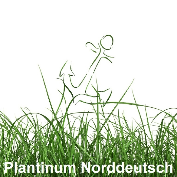 Plantinum North German