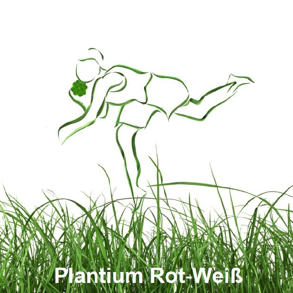 Plantinum Rot-Weiß