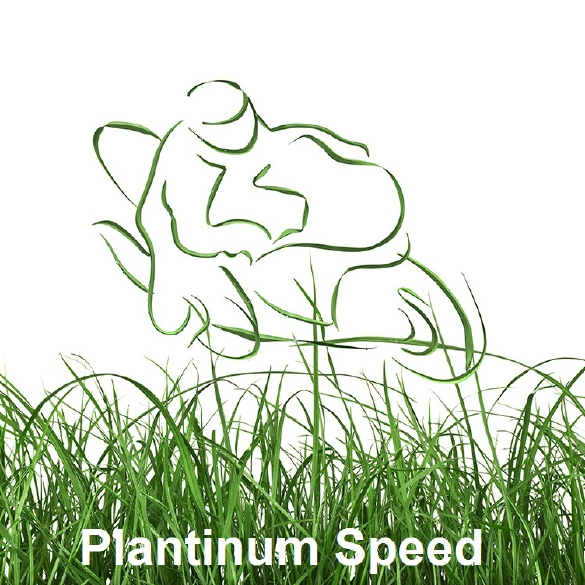 Plantinum Speed