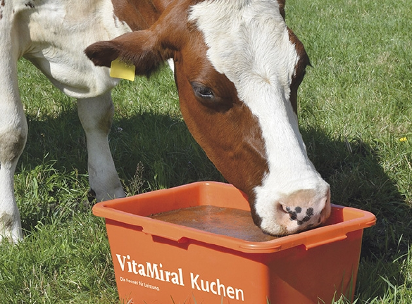 VitaMiral-Leckmassen