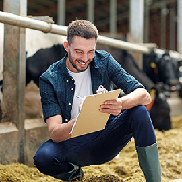 Innovationen und Start-ups bei AGRAVIS