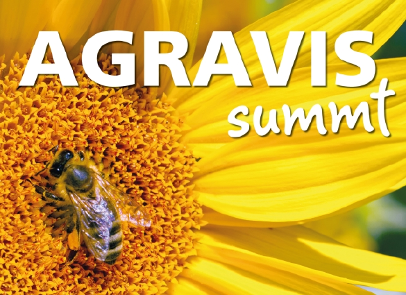 AGRAVIS summt