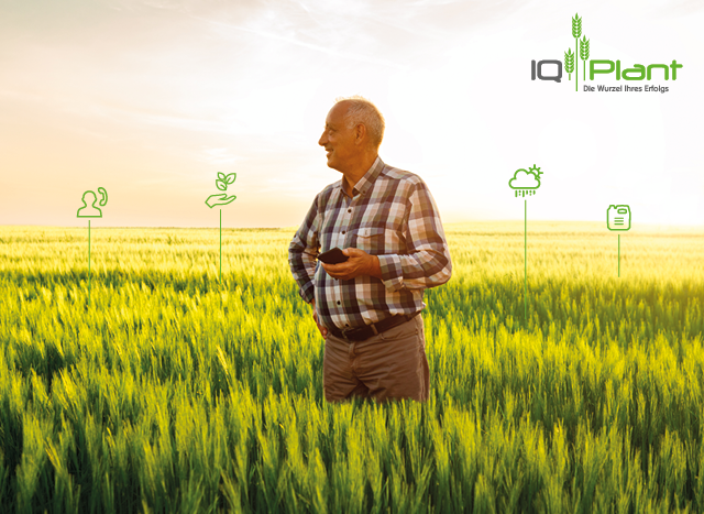 IQ-Plan Key Visual 2020 Header Teaser Meta