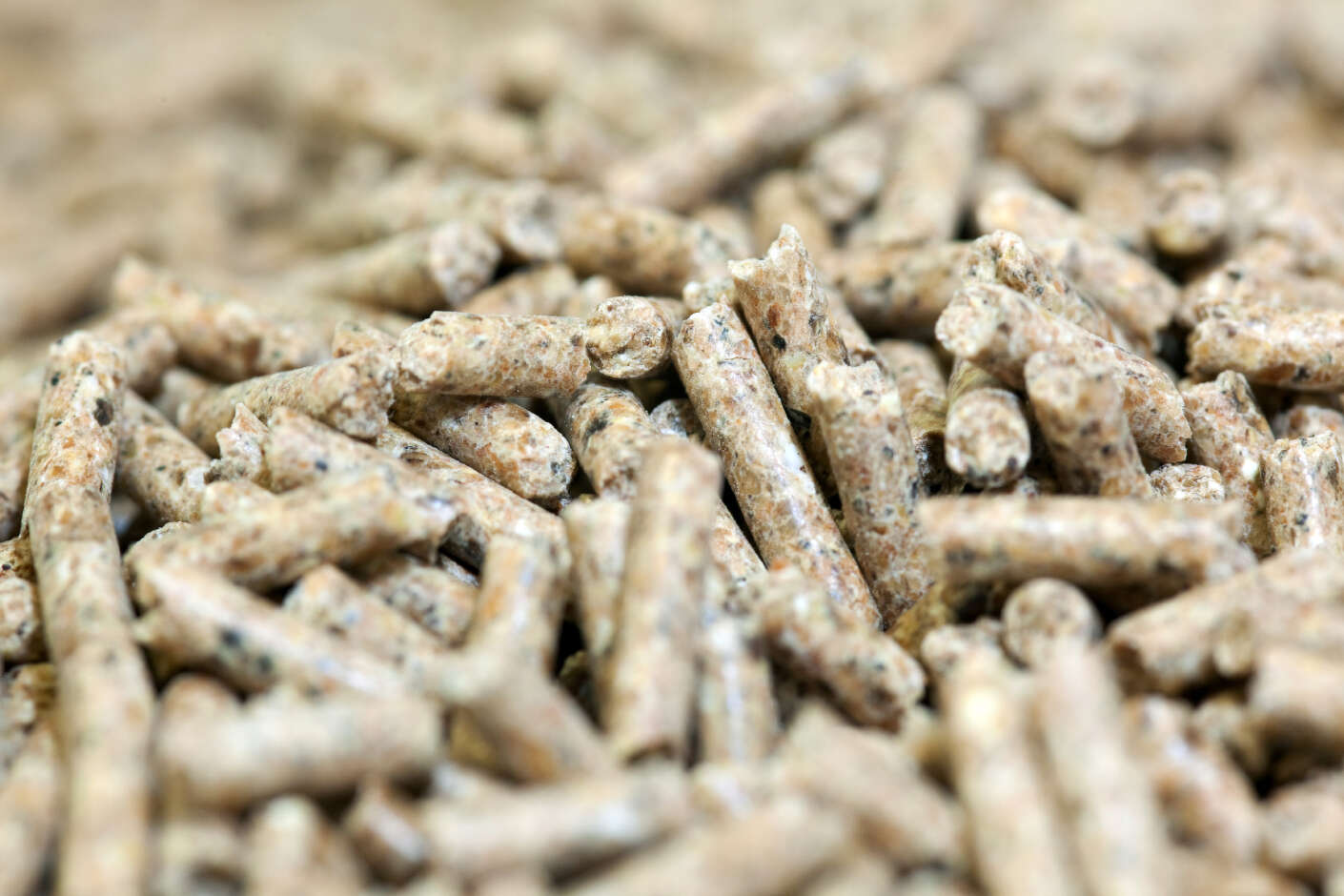 Futtermittel Pellets Nahaufnahme
