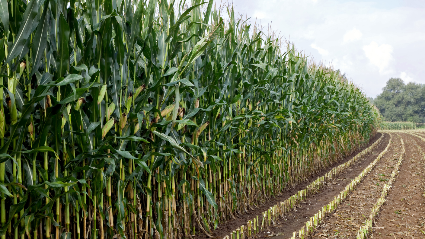 Biogas AGRAVIS Niedersachsen-Süd GmbH