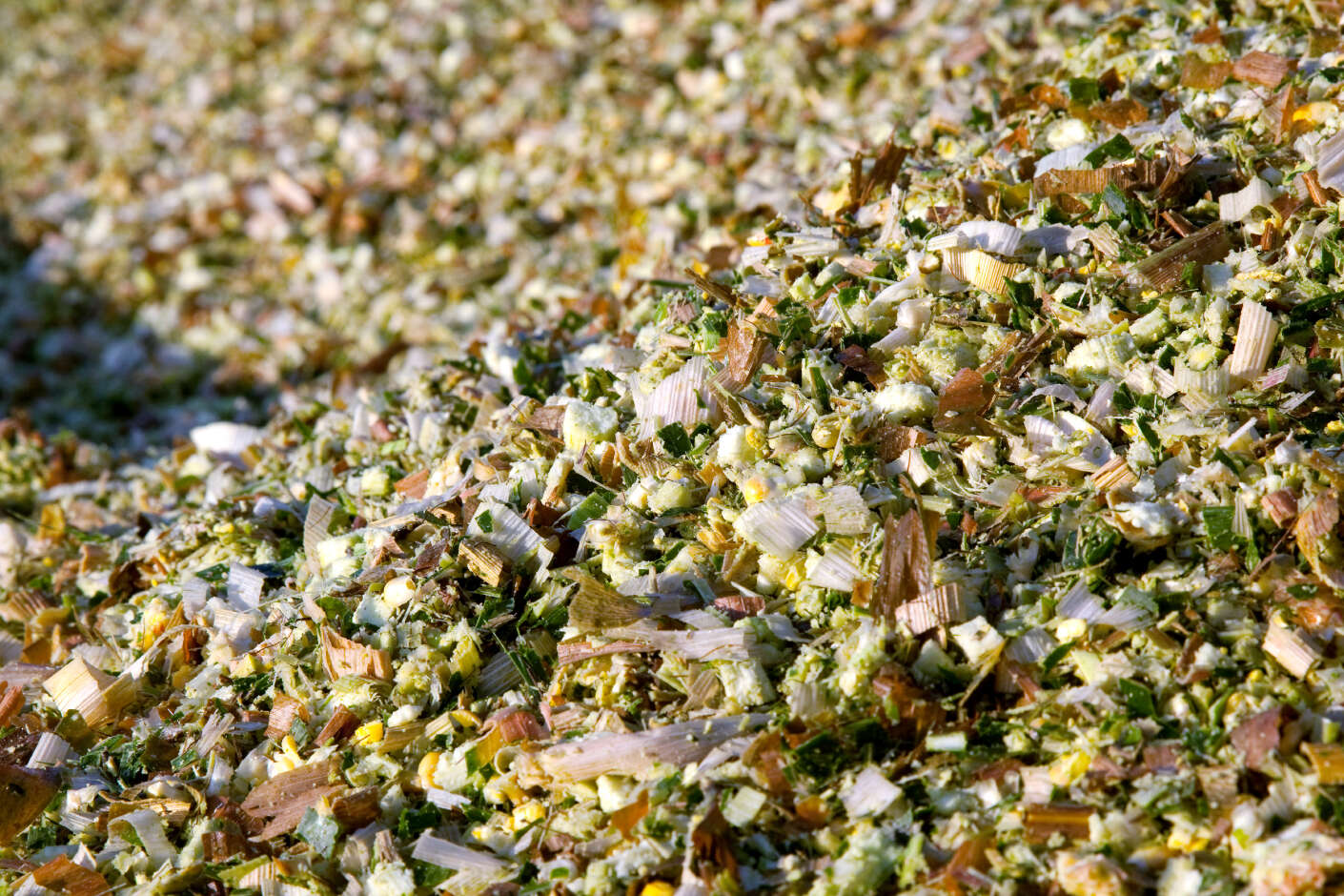 Maissilage