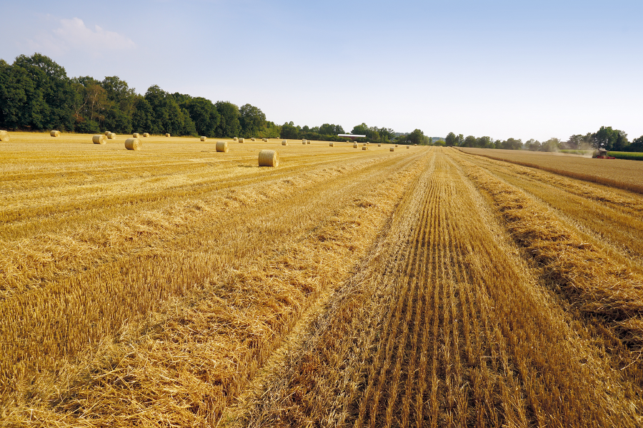 Stroh Ballen Feld