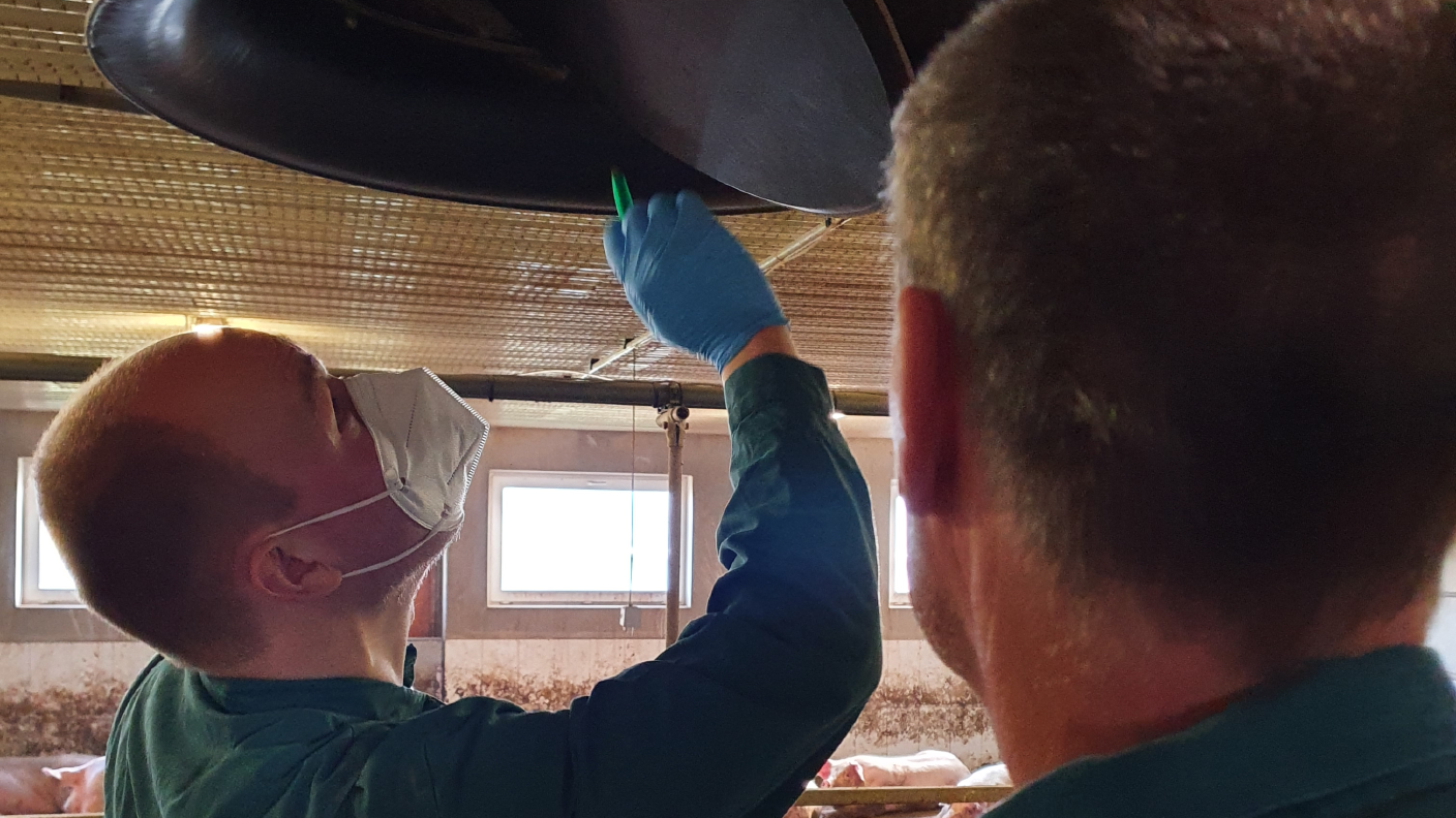 Zwei Männer untersuchen während des Tränkewasser- und Stallklimacheck ein Rohr im Stall.