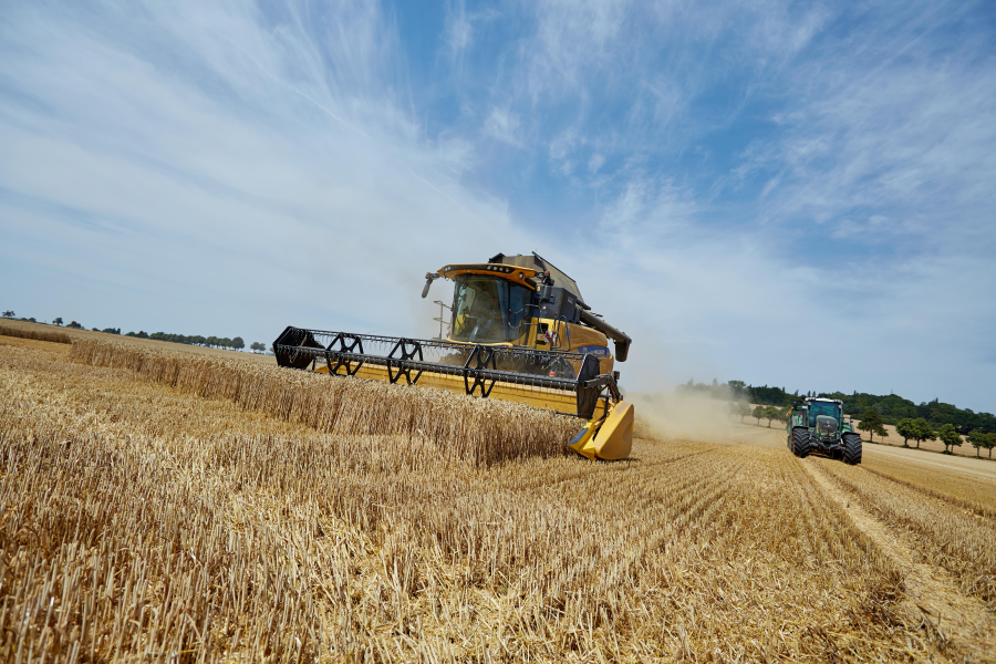 Mähdrescher in der Erntezeit auf Feld