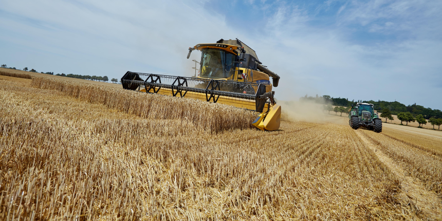 Mähdrescher in der Erntezeit auf Feld