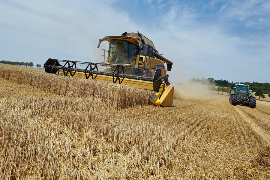 Mähdrescher in der Erntezeit auf Feld