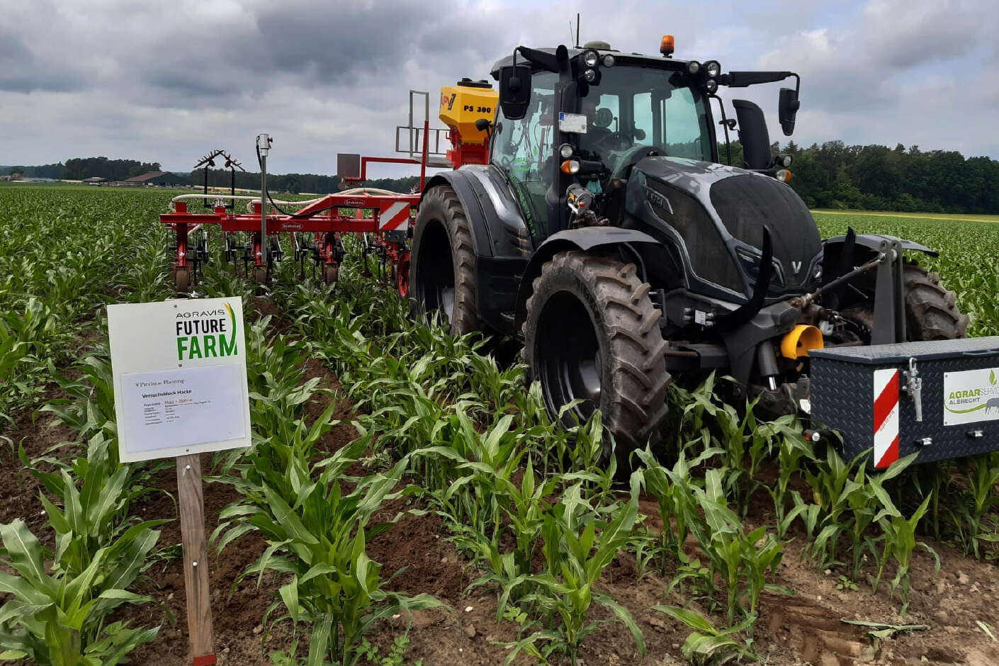 Grauer Traktor mit kameragesteuerter Feldhacke fährt über Versuchs-Maisfeld der AGRAVIS Future Farm