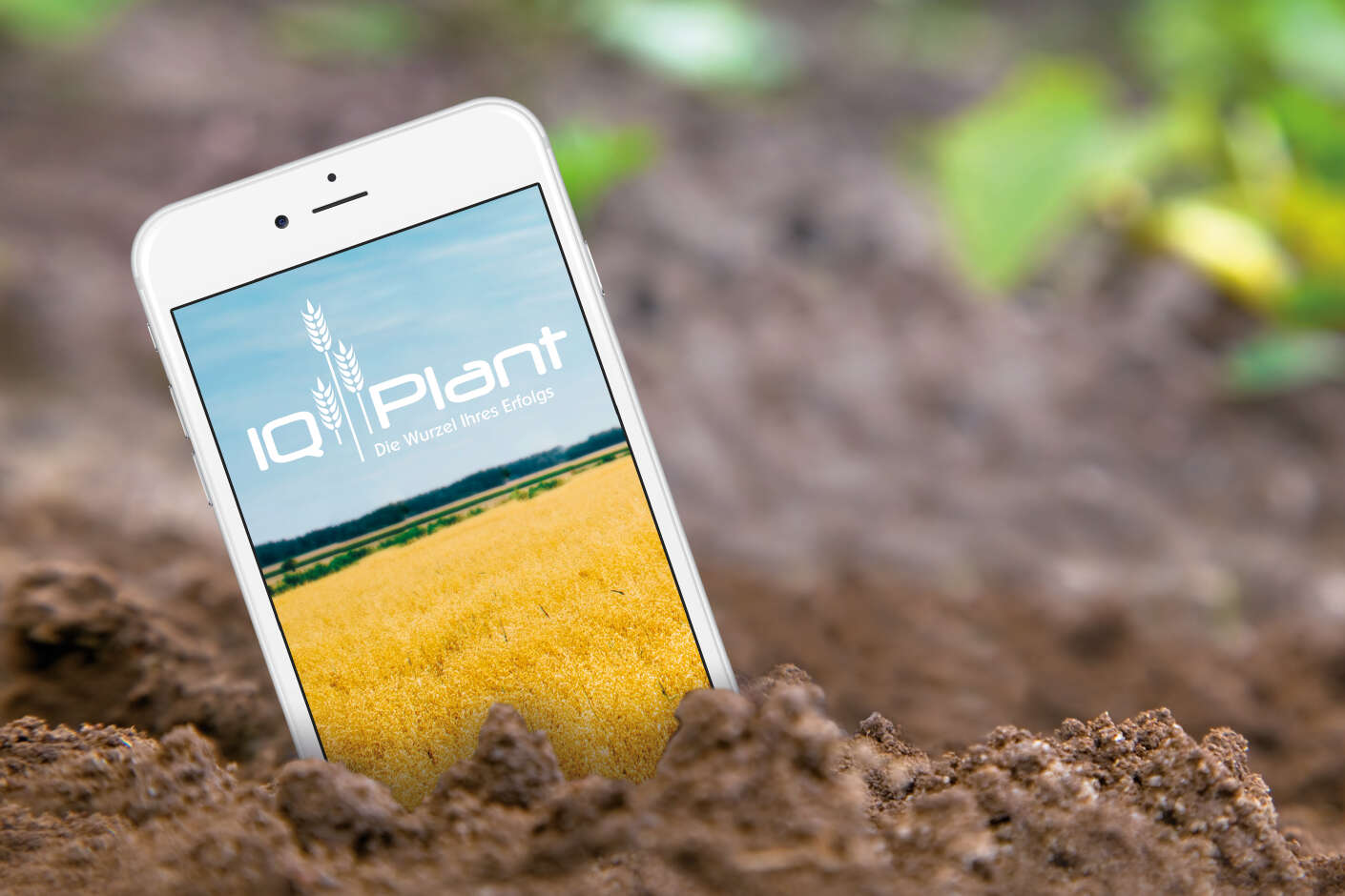 Ein Smartphone steckt in Erde, zeigt ein Feld mit gelbem Getreide und den Text 