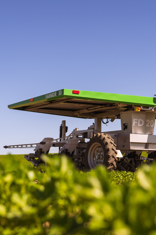 Feldroboter FarmDroid FD20 auf Rübenfeld mit blauem Himmel im Hintergrund