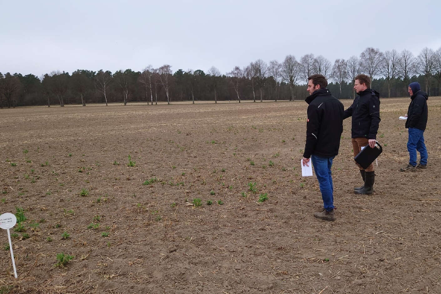 Drei Mitarbeiter der AGRAVIS Future Farm stehen auf Feld, um Versuchsanbau zu besprechen