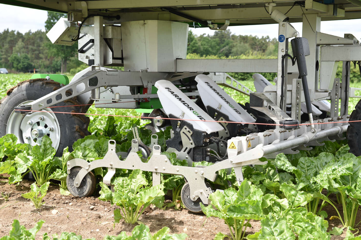 seitliche Nahaufnahme des Farmdroid FD20 beim Hacken in Zuckerrüben