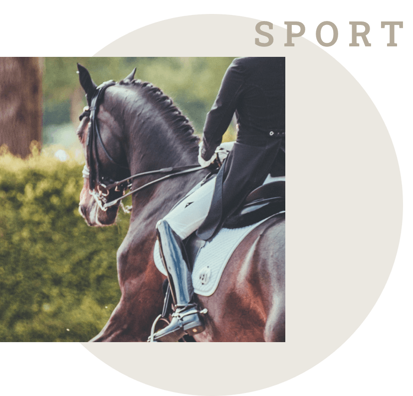 einsatzgebiet sport derby