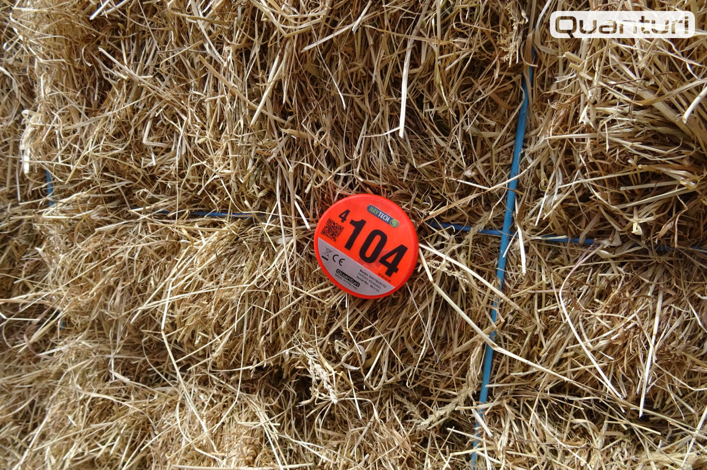 Quanturi Sensor auf einem Ballen