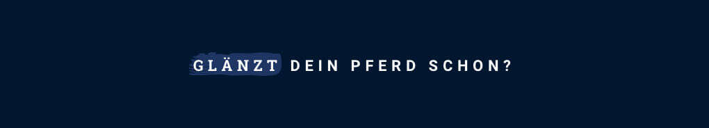 haar pferdepflege glaenzt dein pferd schon