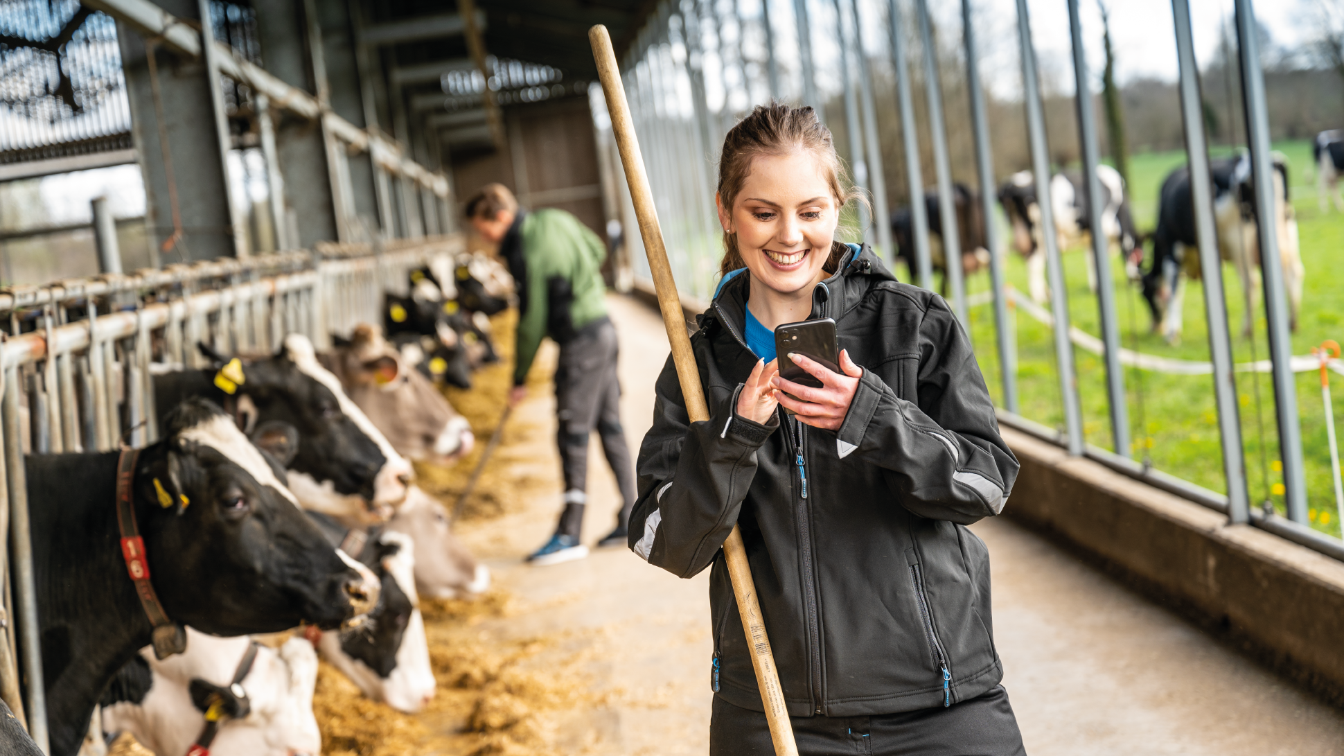 Landwirtin steht im Rinderstall und blickt auf Smartphone