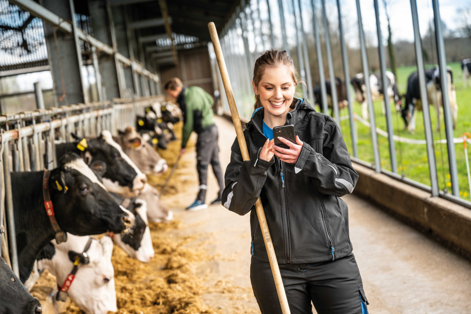 Landwirtin steht im Kuhstall, ihr Blick ist auf das Smartphone in ihren Händen gerichtet