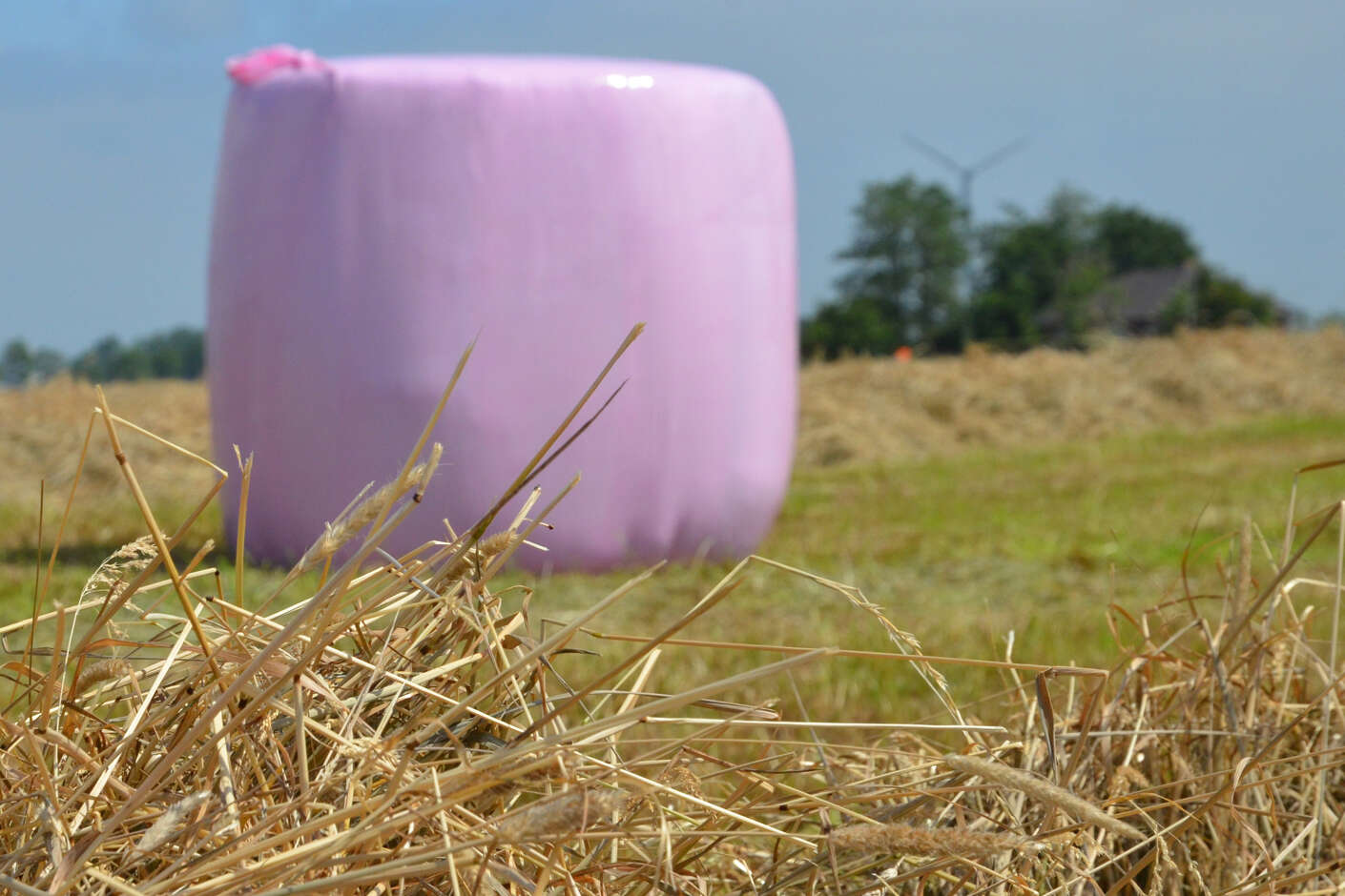 Rosafarbener Silageballen