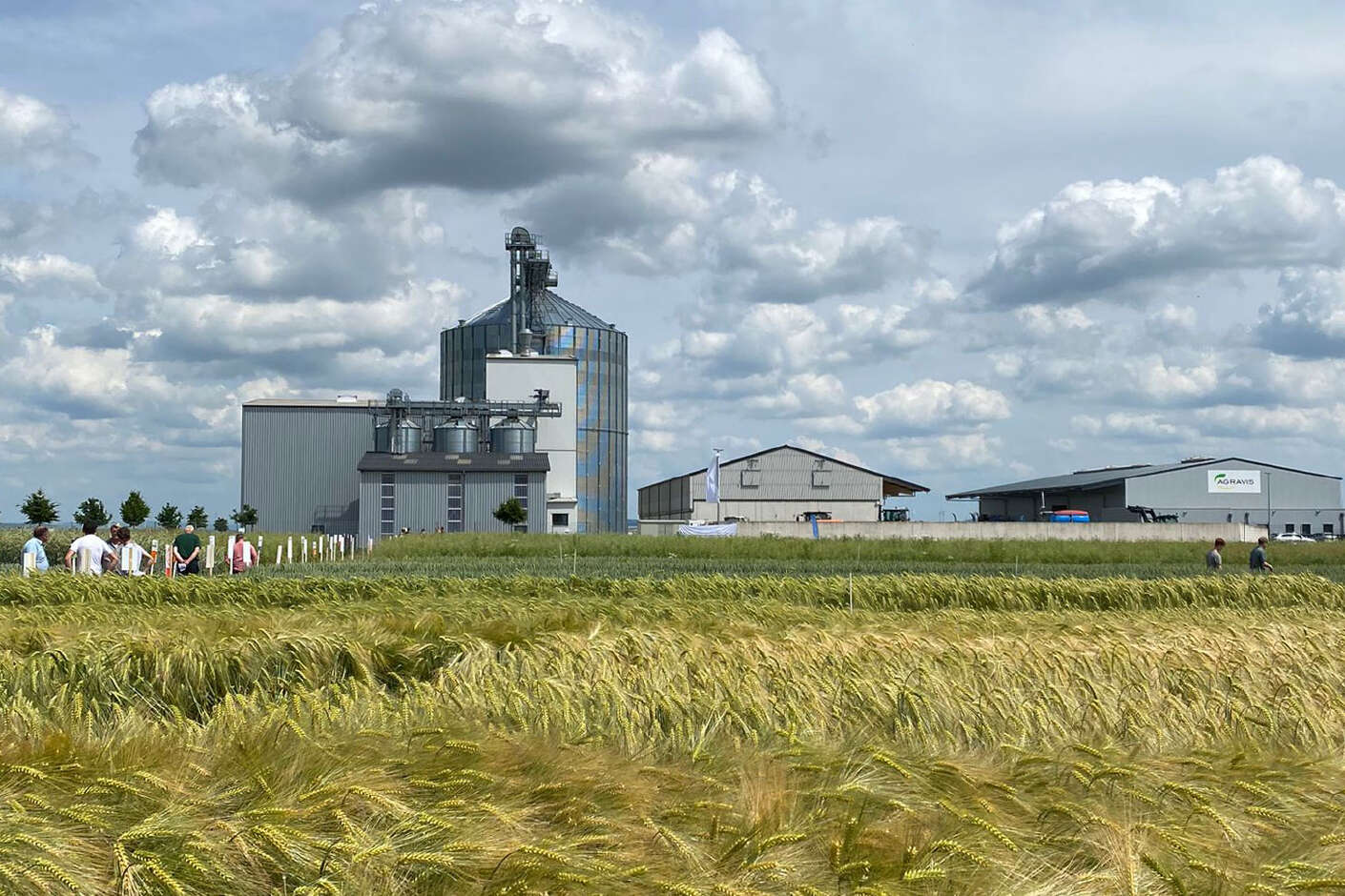 Feldbegang auf dem Versuchsfeld Hohenwepel mit Getreide im Vordergrund %26 Siloanlage im Hintergrund