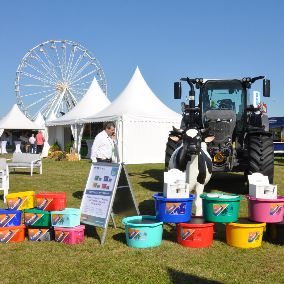 Crystalyx auf der Tarmstedter Ausstellung 