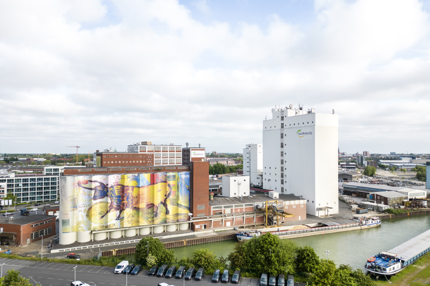 Großes Stierbild auf den neun Silos am AGRAVIS-Futtermittelwerk Münster