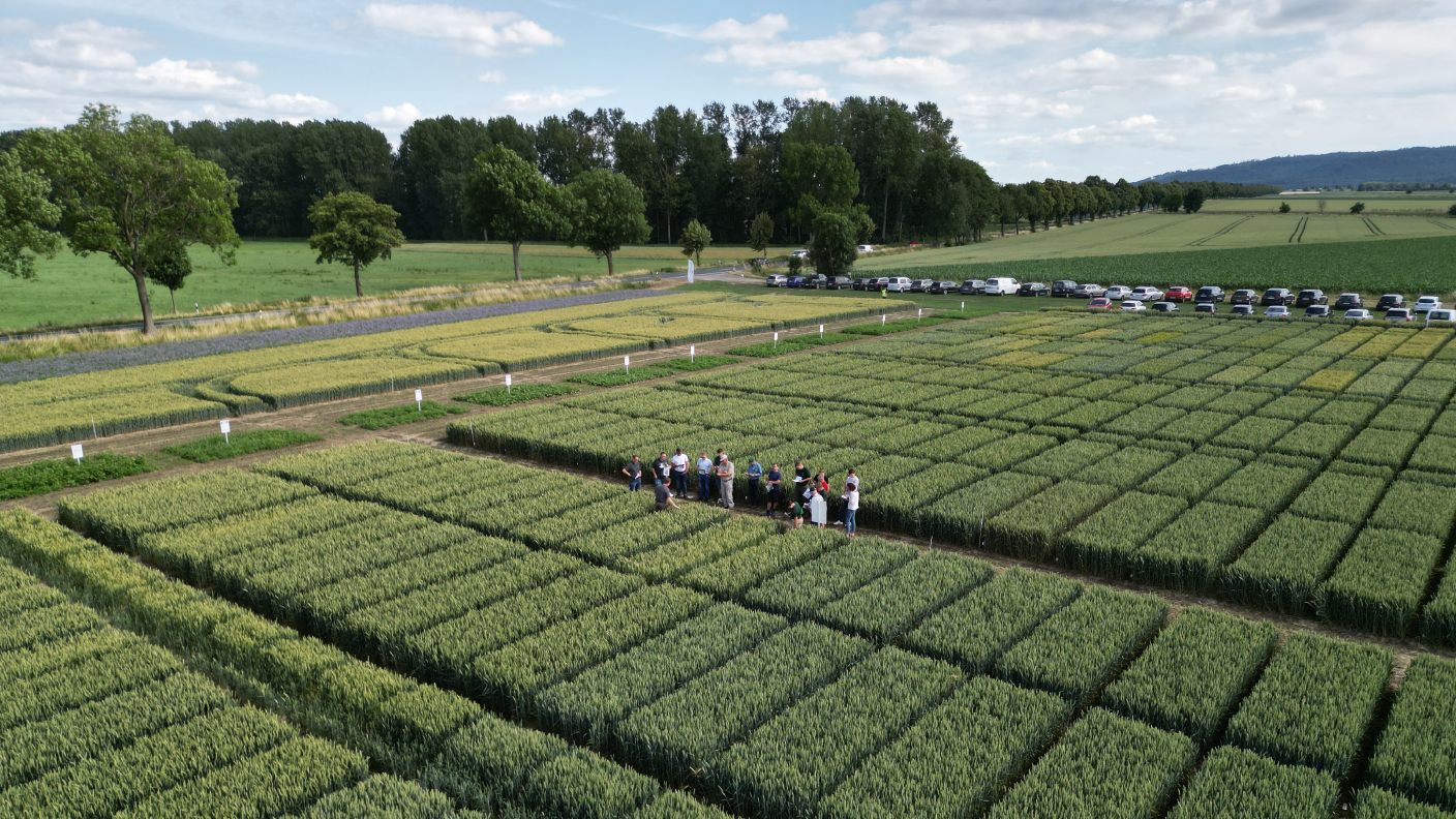 Pflanzenbau AGRAVIS Niedersachsen-Süd GmbH