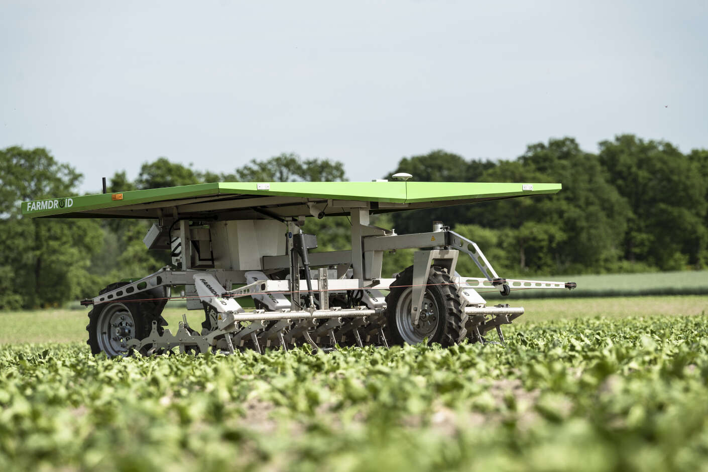 Farmdroid FD20 auf Zuckerrüben-Feld