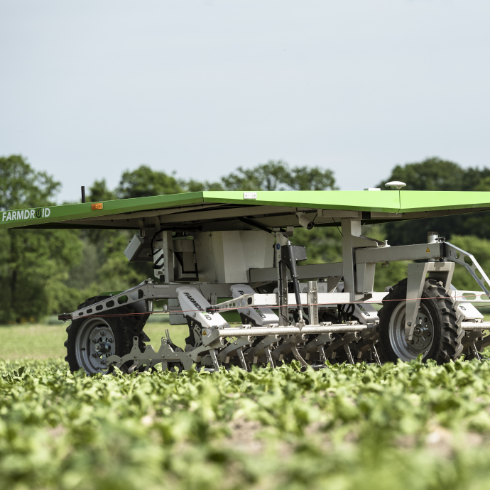 Farmdroid FD20 auf Zuckerrüben-Feld