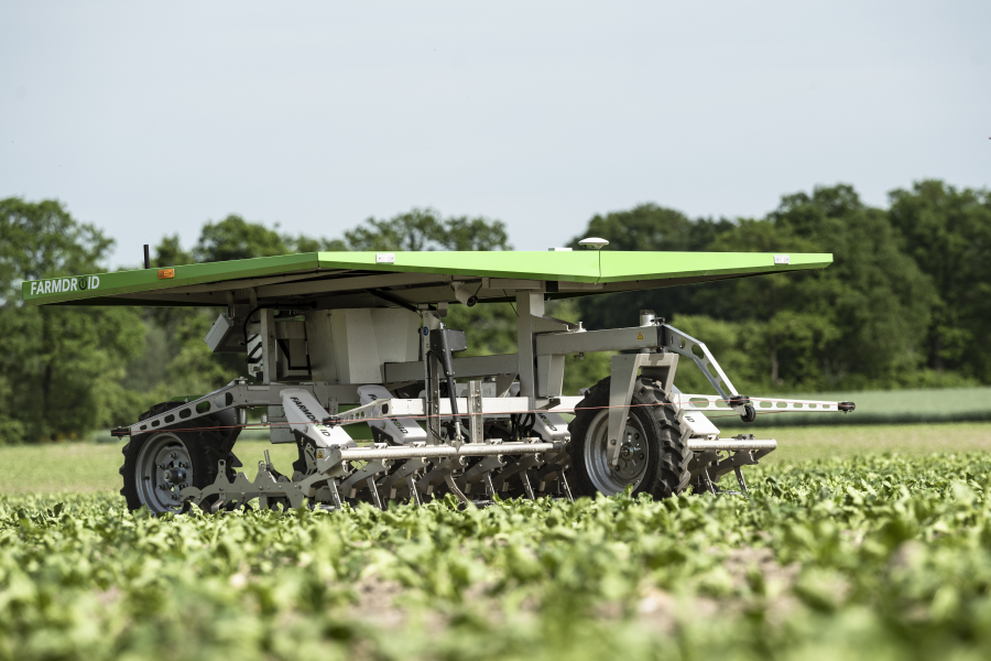 Farmdroid FD20 auf Zuckerrüben-Feld