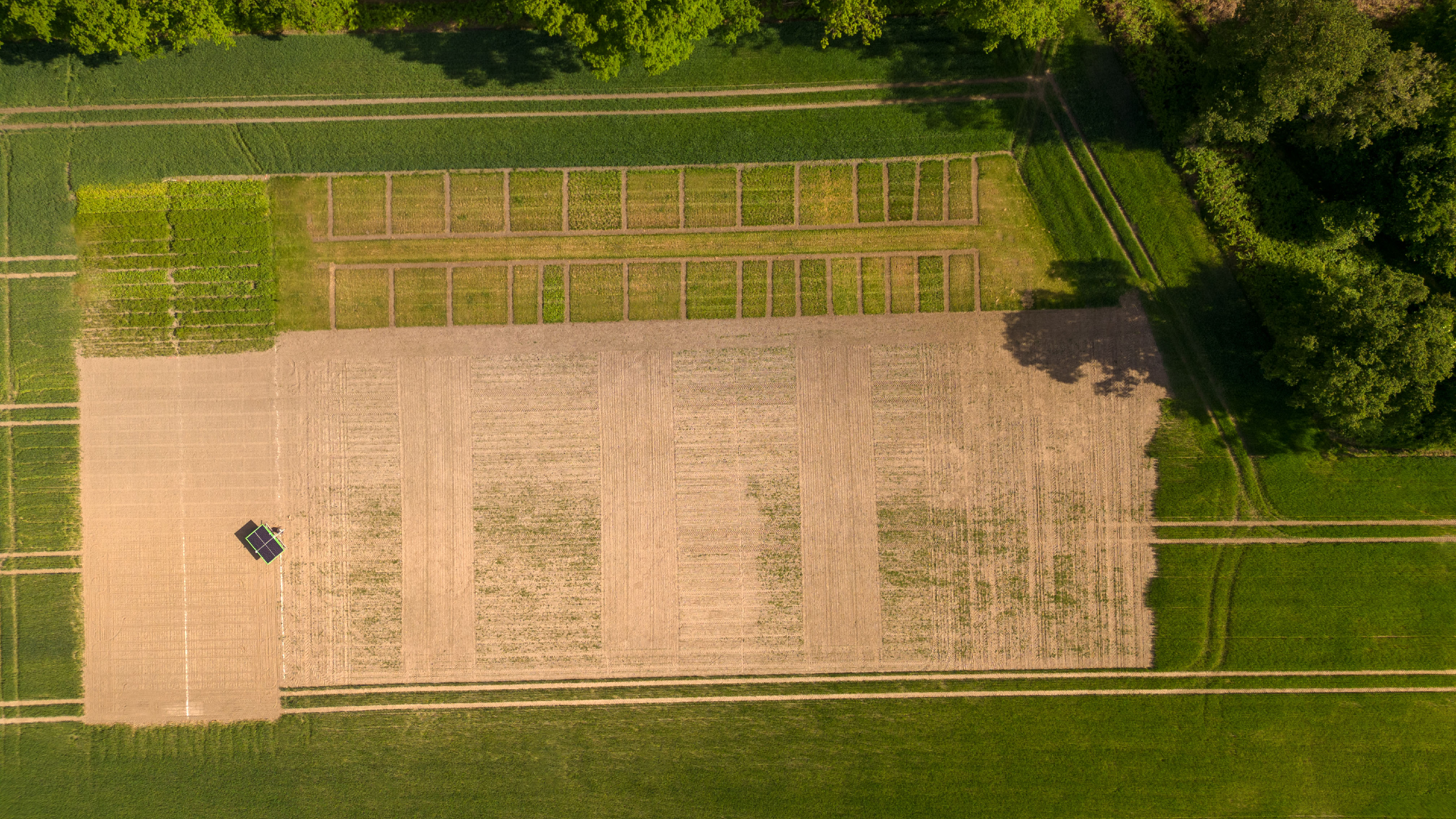 Feld auf dem AGRAVIS Versuchsgut in St. Mauritz