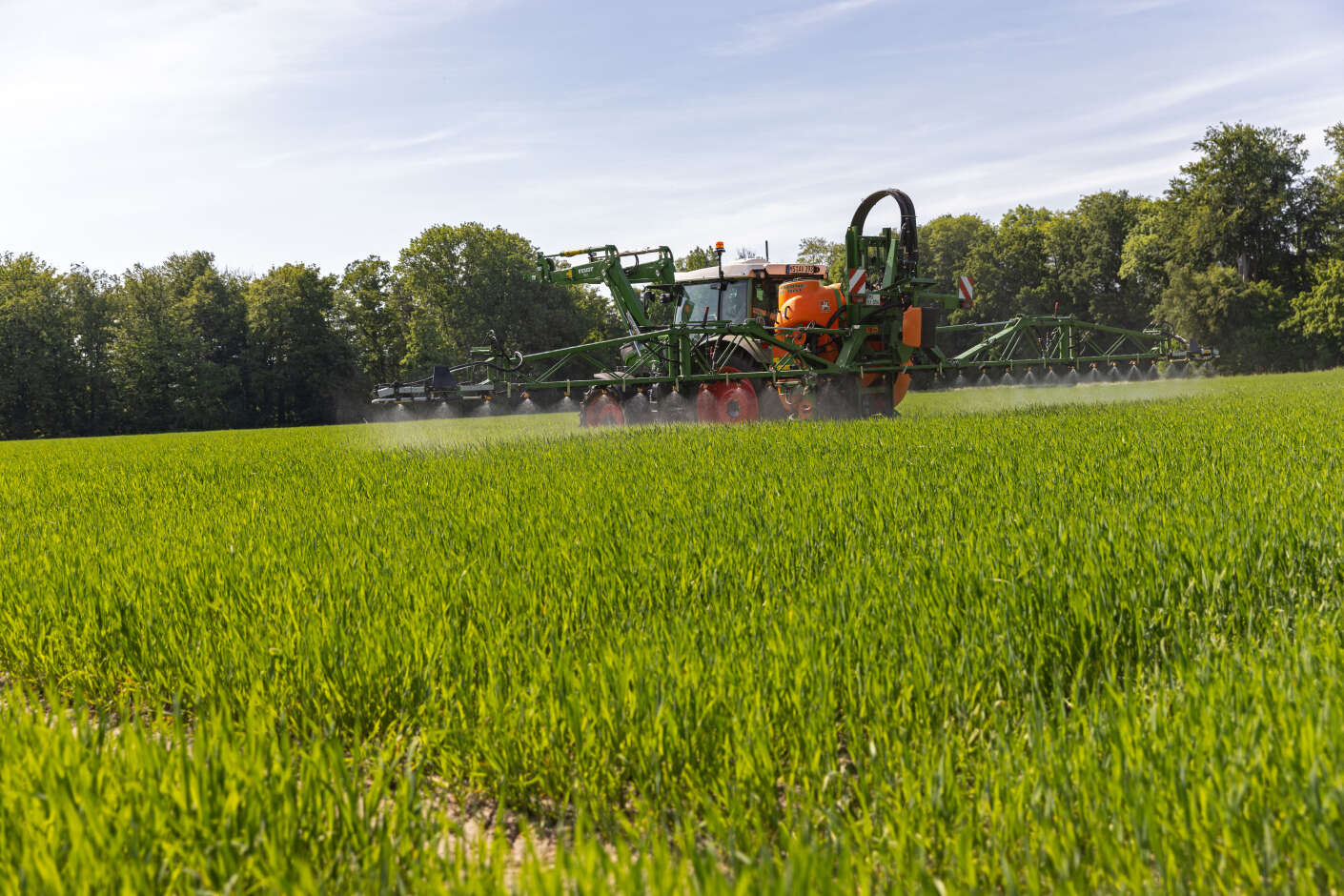 Fendt Trecker mit Pflanzenbauspritze im Getreidebestand
