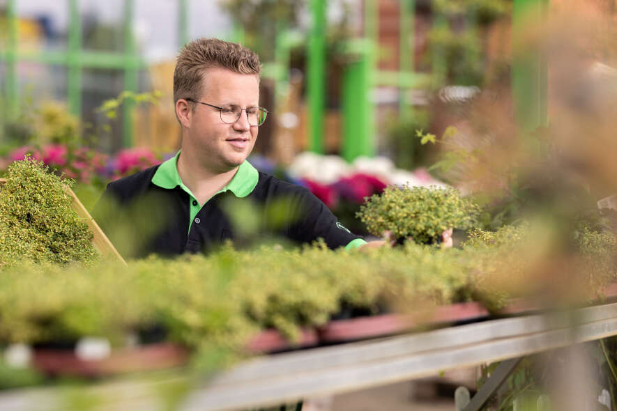 Robin Braun sortiert die Blumen im Raiffeisenmarkt ein