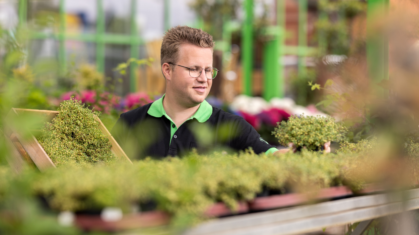 Raiffeisen-Markt Mitarbeiter beim sortieren der Pflanzen