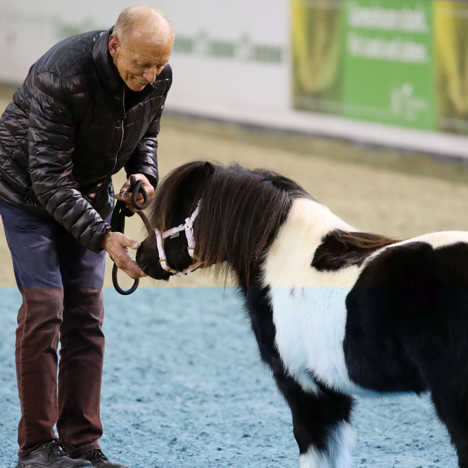 Pony beim AGRAVIS-Cup Münster