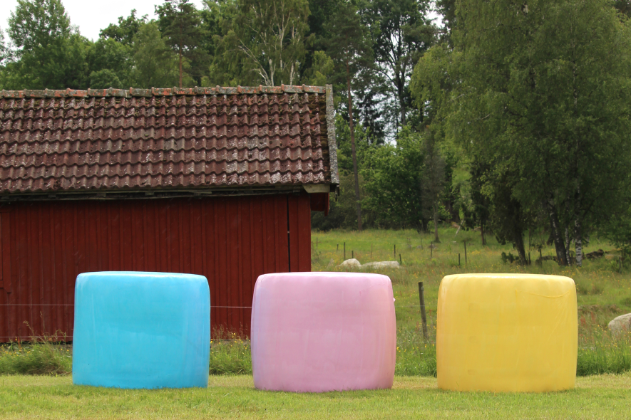 Siloballen in den Farben blau, rosa und gelb stehen auf einer gemähten Fläche.
