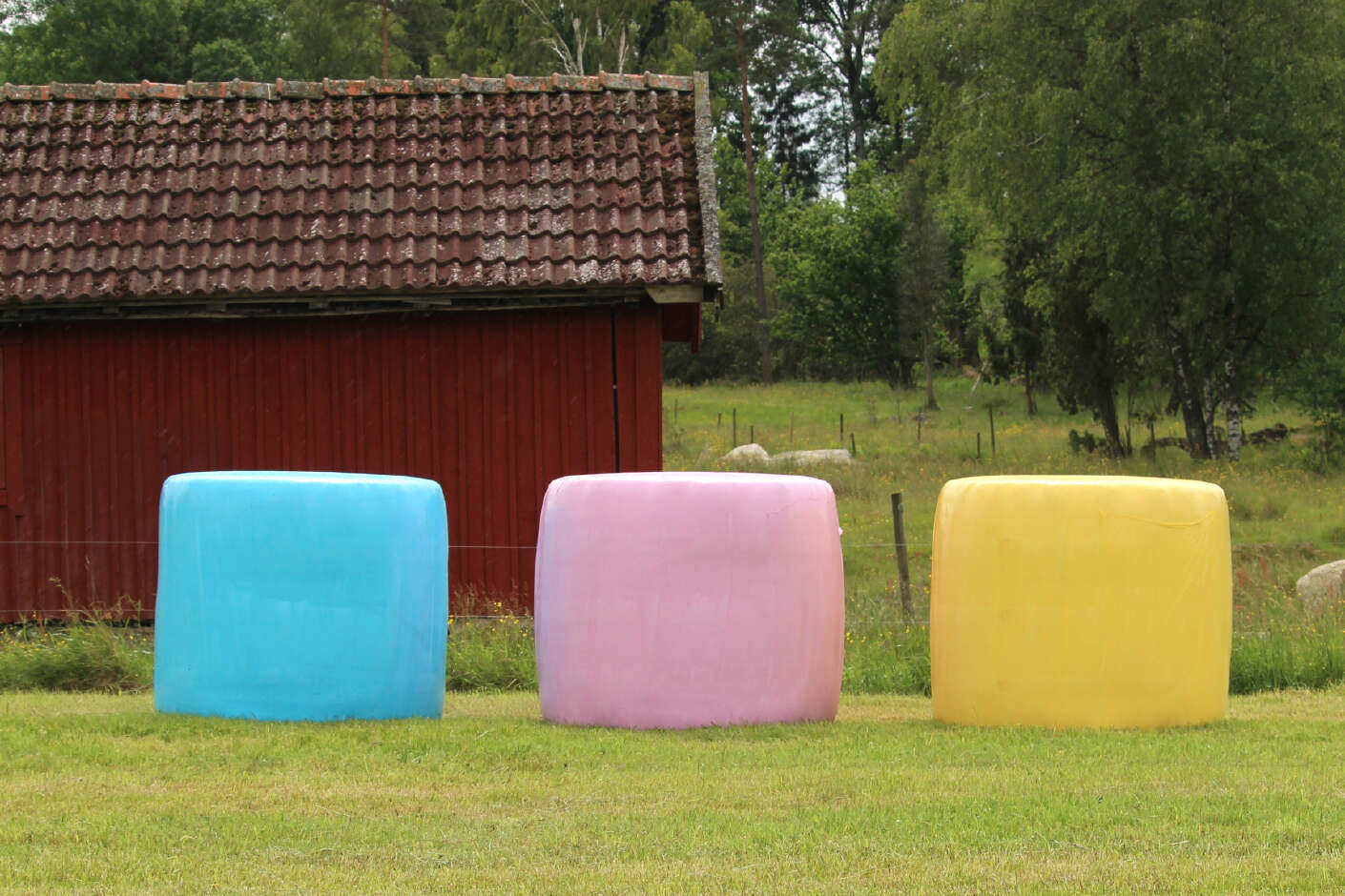 Siloballen in den Farben blau, rosa und gelb
